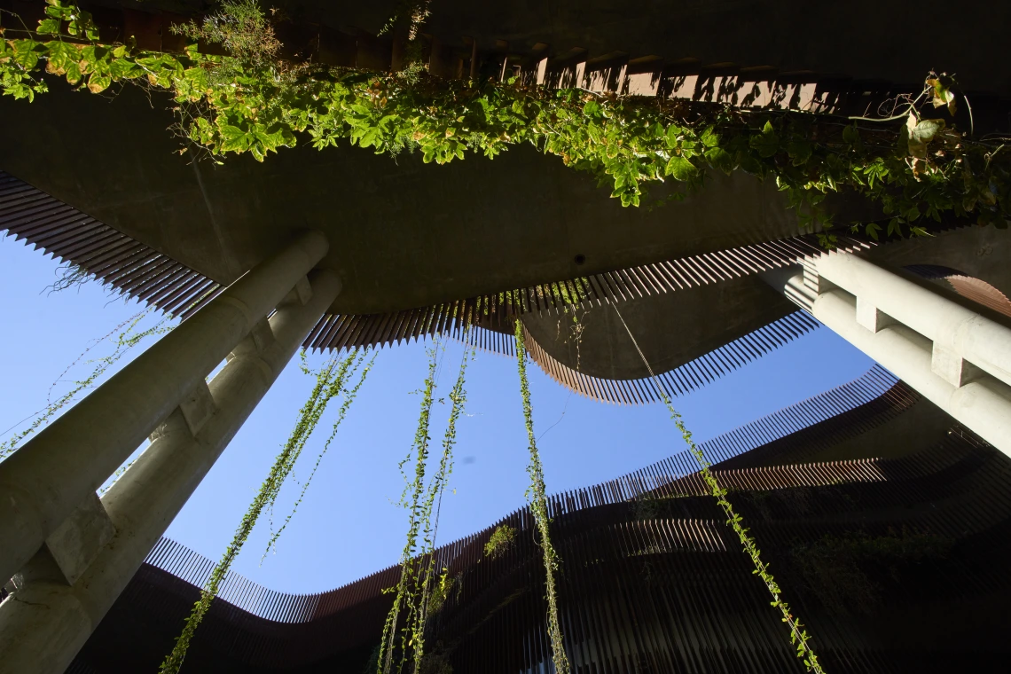 Looking toward the sky in ENR2's Slot Canyon with vines hanging down